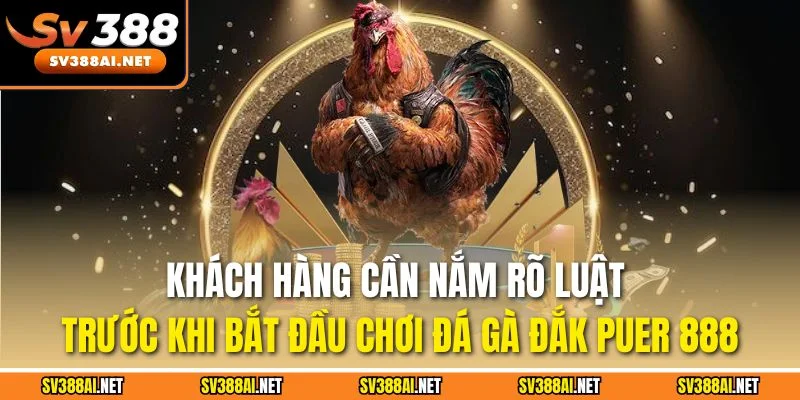 Khách hàng cần nắm rõ luật trước khi bắt đầu chơi đá gà Đắk Puer 888 Khách hàng cần nắm rõ luật trước khi bắt đầu chơi đá gà Đắk Puer 888